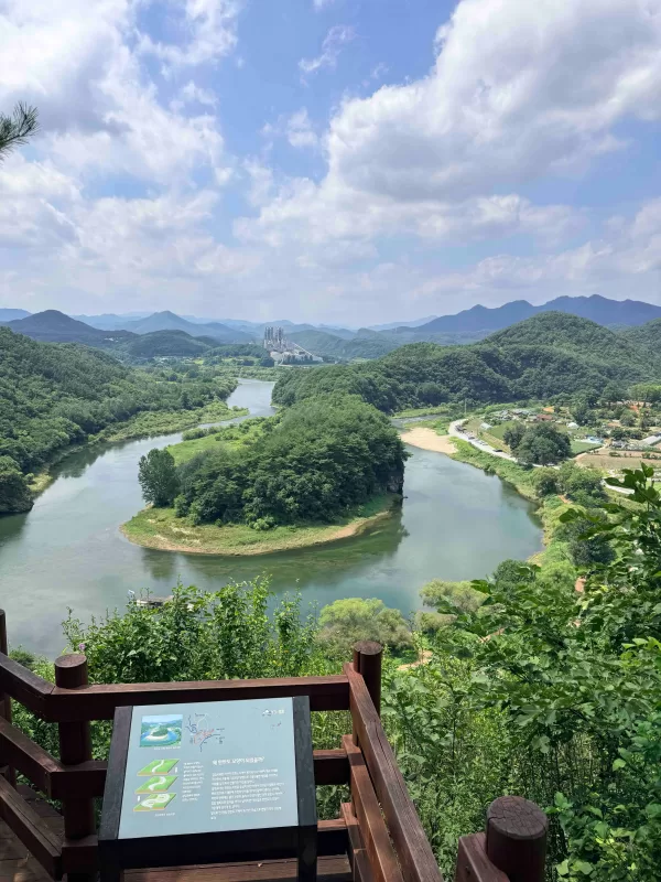 사진 확대
