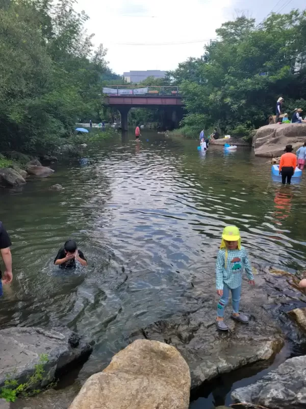 사진 확대