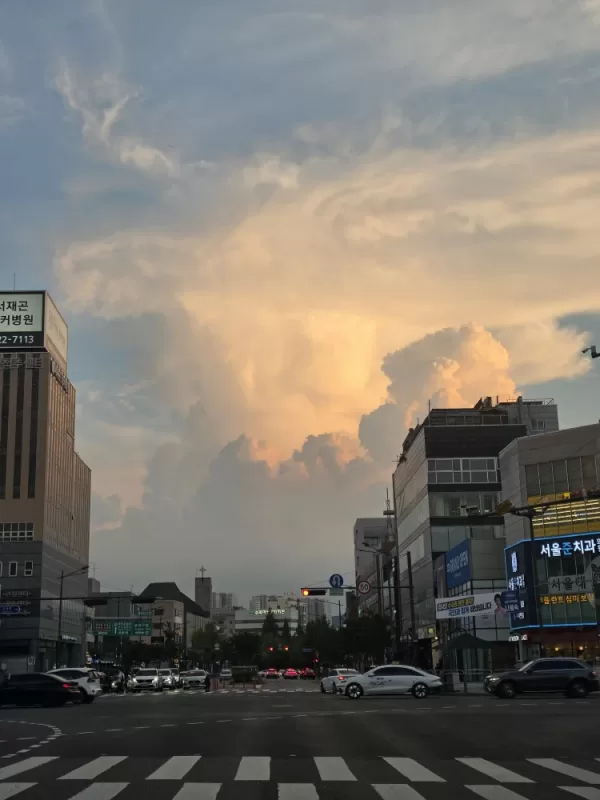 사진 확대