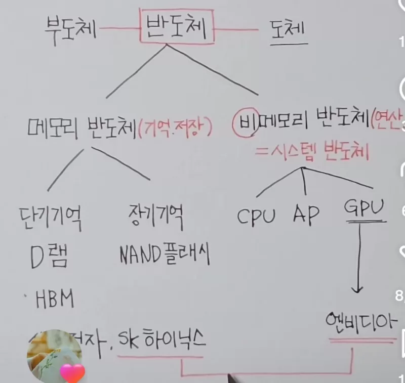 사진 확대