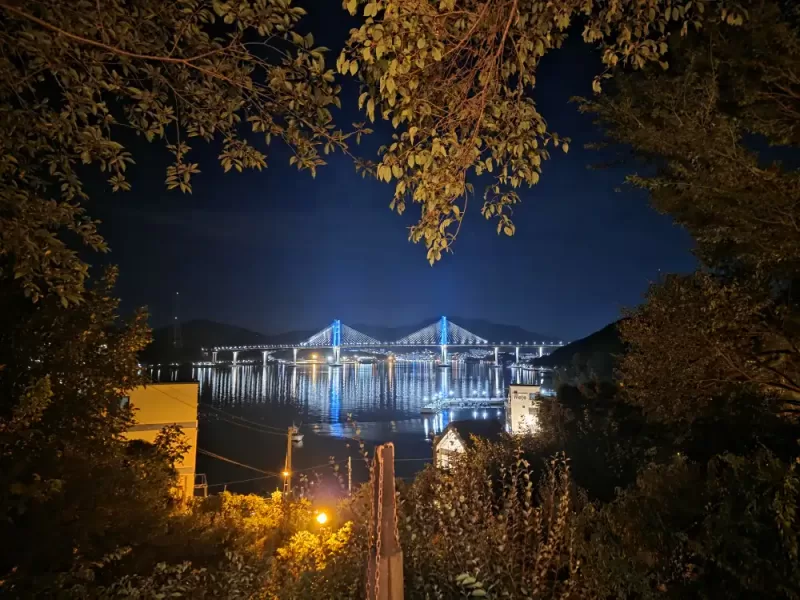 사진 확대