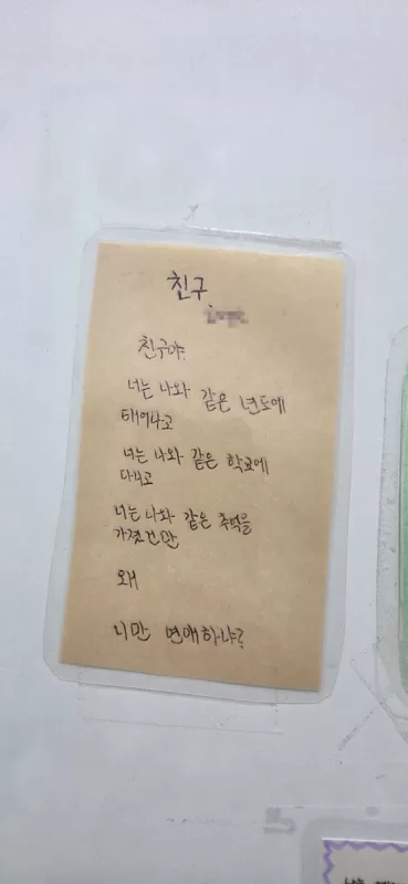 사진 확대