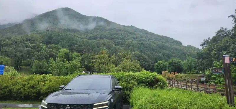 사진 확대