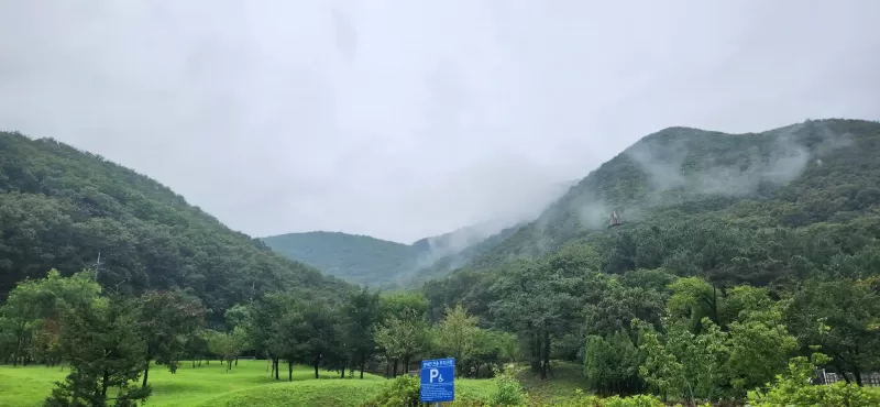 사진 확대