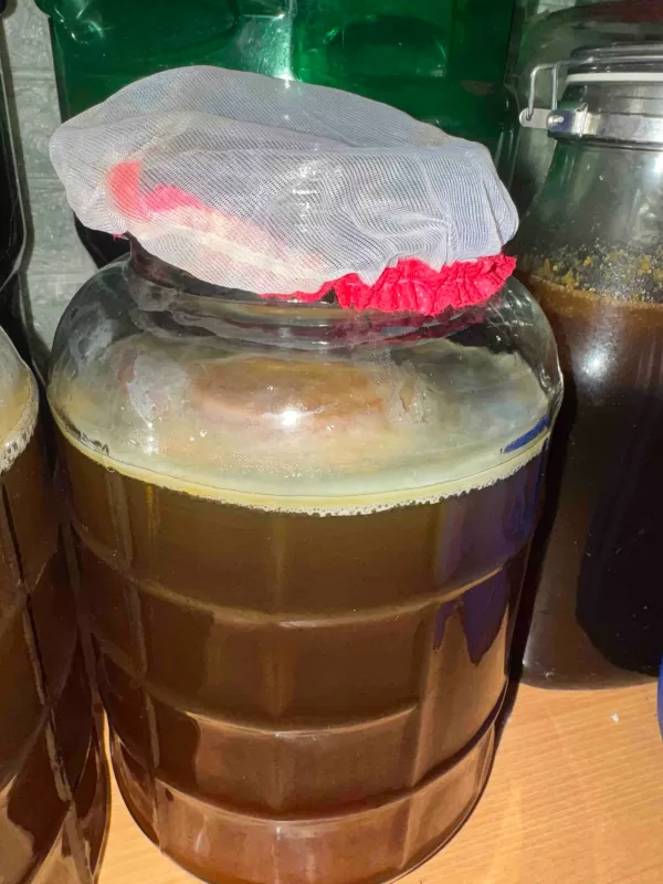 사진 확대