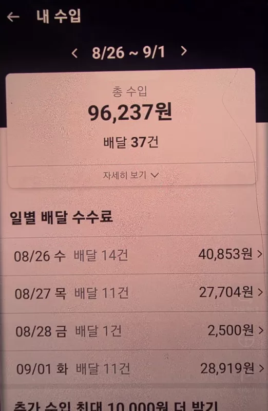 사진 확대