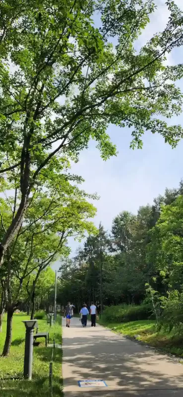 사진 확대