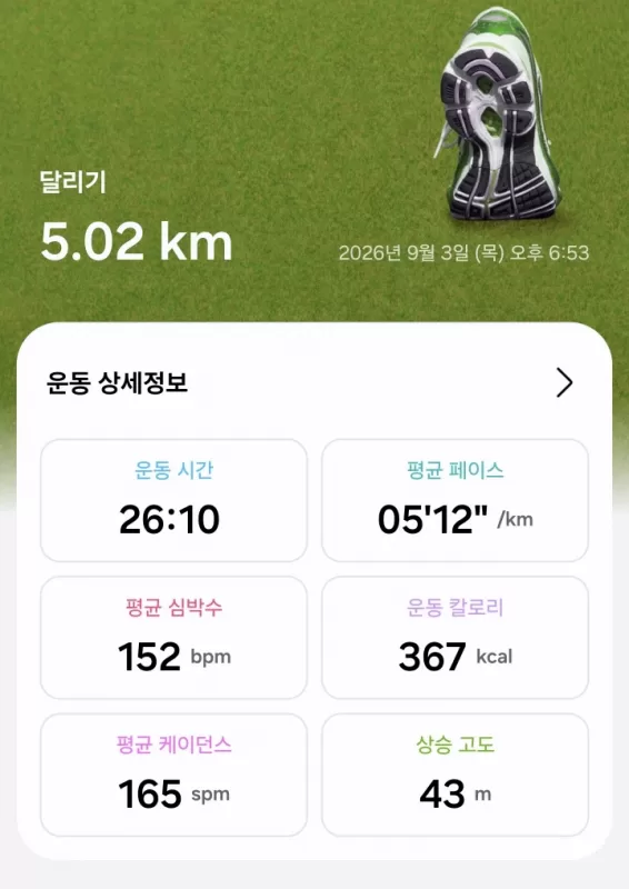 사진 확대