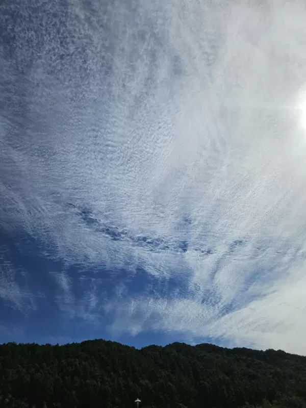 사진 확대
