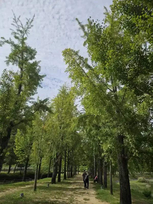 사진 확대