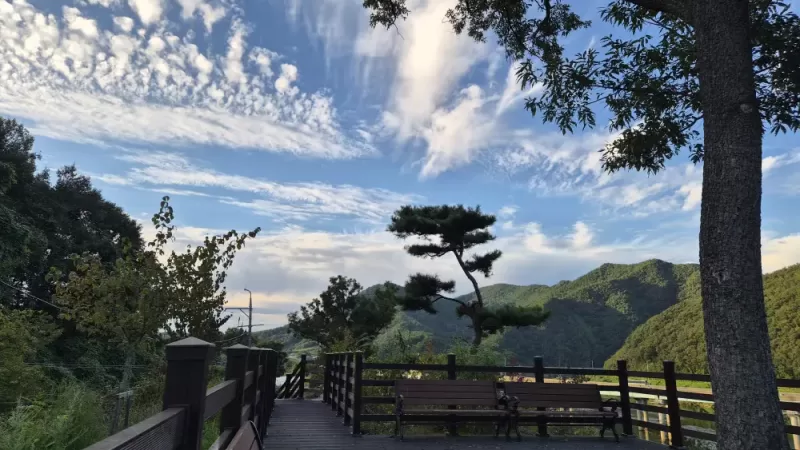 사진 확대
