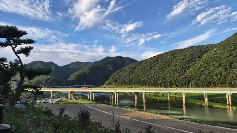 사진 확대