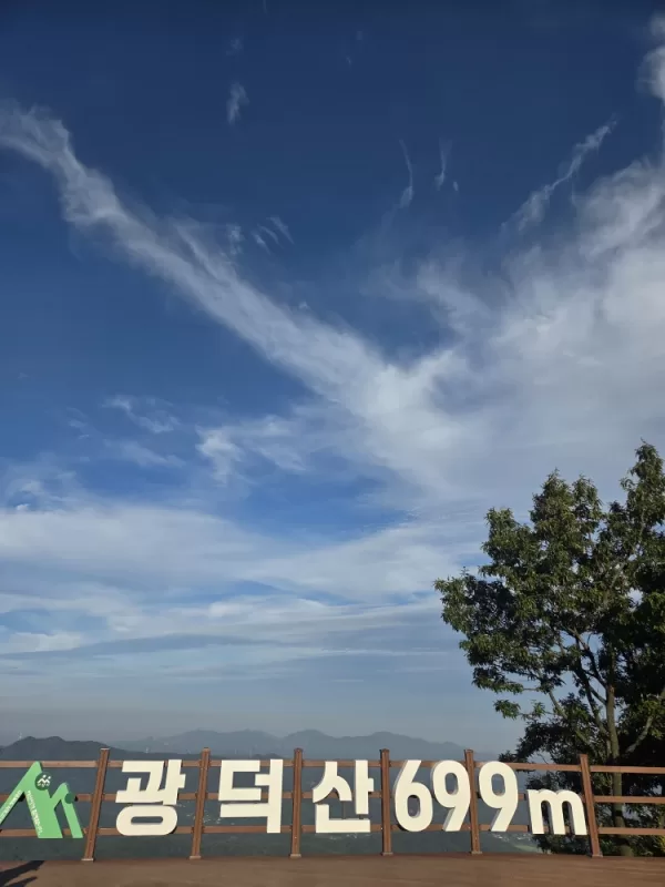 사진 확대