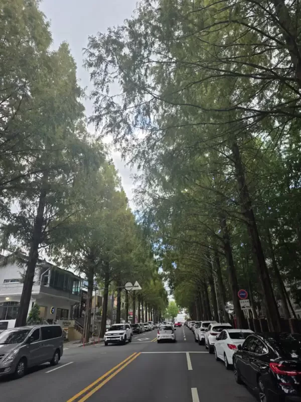 사진 확대