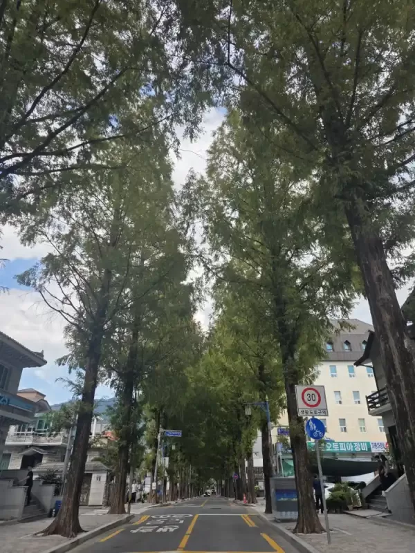 사진 확대