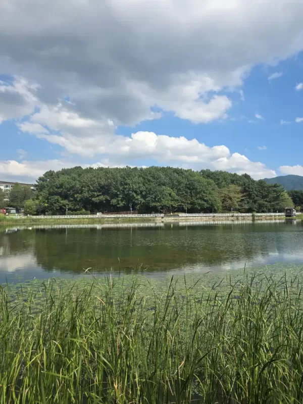 사진 확대