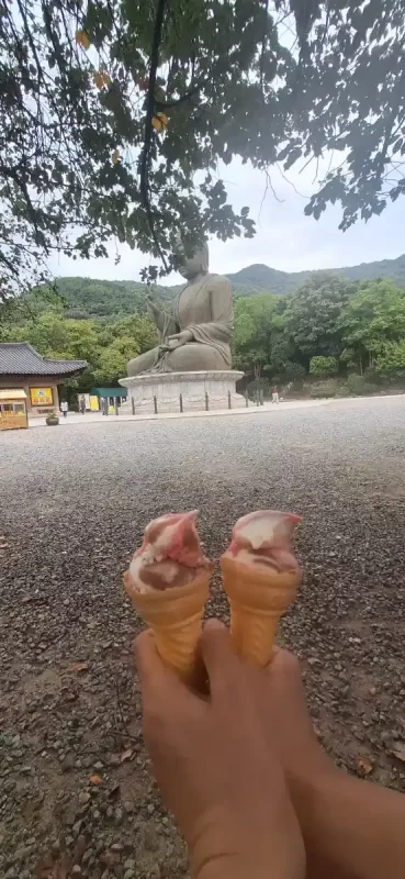 사진 확대