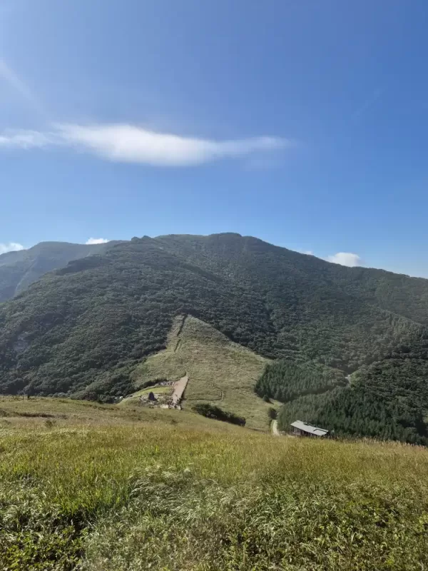 사진 확대