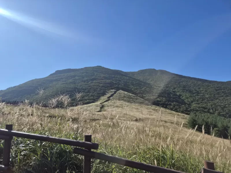 사진 확대