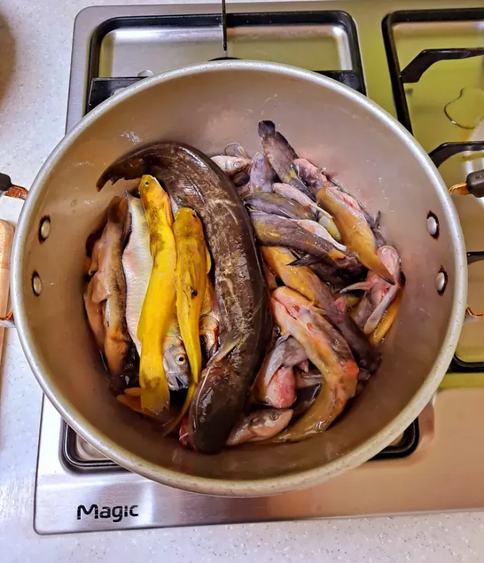 사진 확대