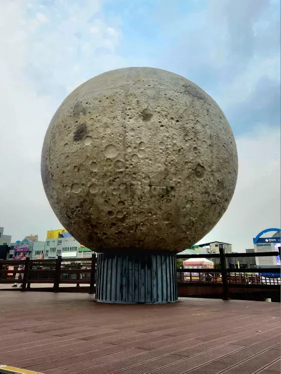 사진 확대