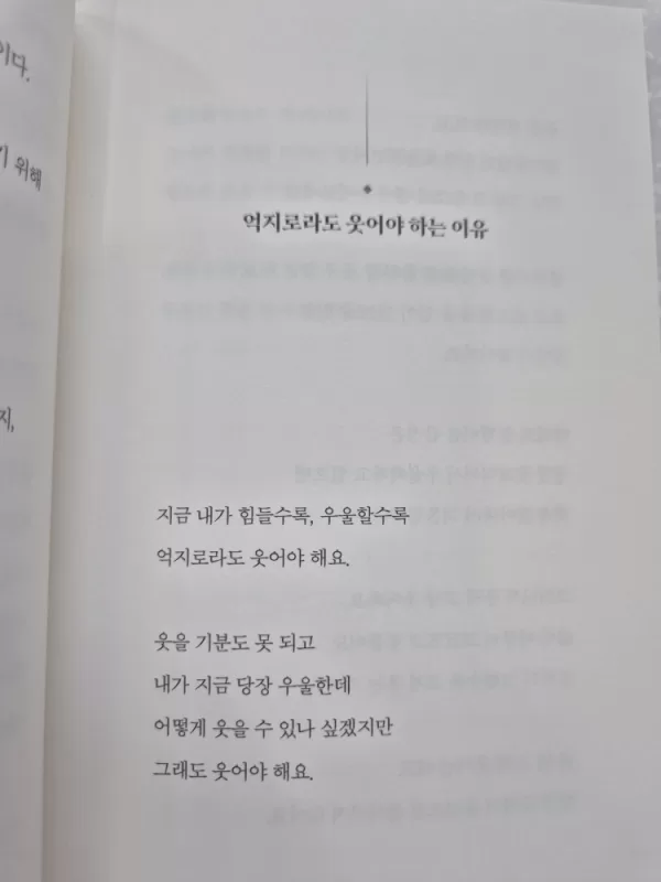 사진 확대