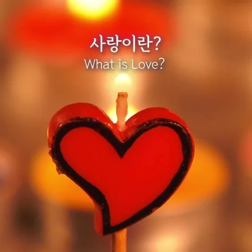 사진 확대
