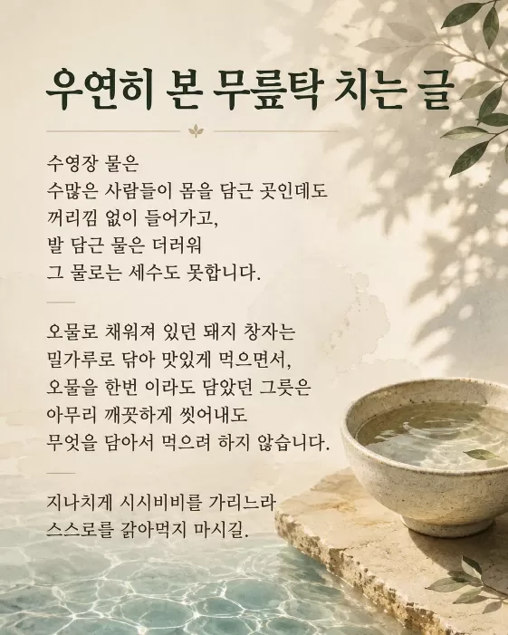 사진 확대