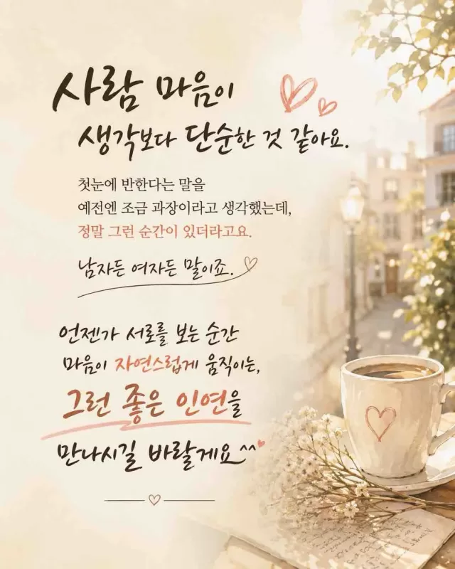 사진 확대