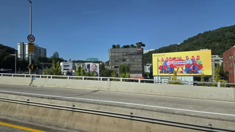 사진 확대