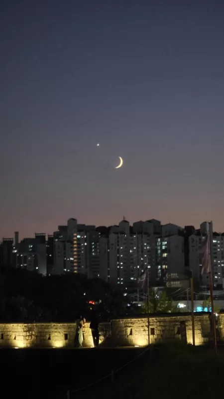 사진 확대