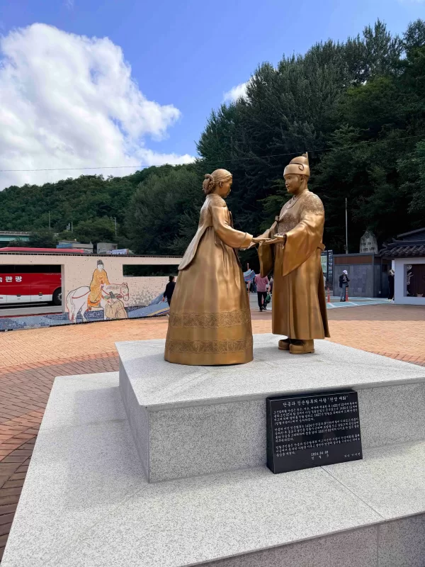 사진 확대